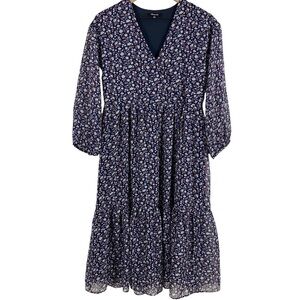 Madewell Tie-Waist Midi Dress Harvest Vine Blue Floral 2XS Sheer 3/4 Sleeve